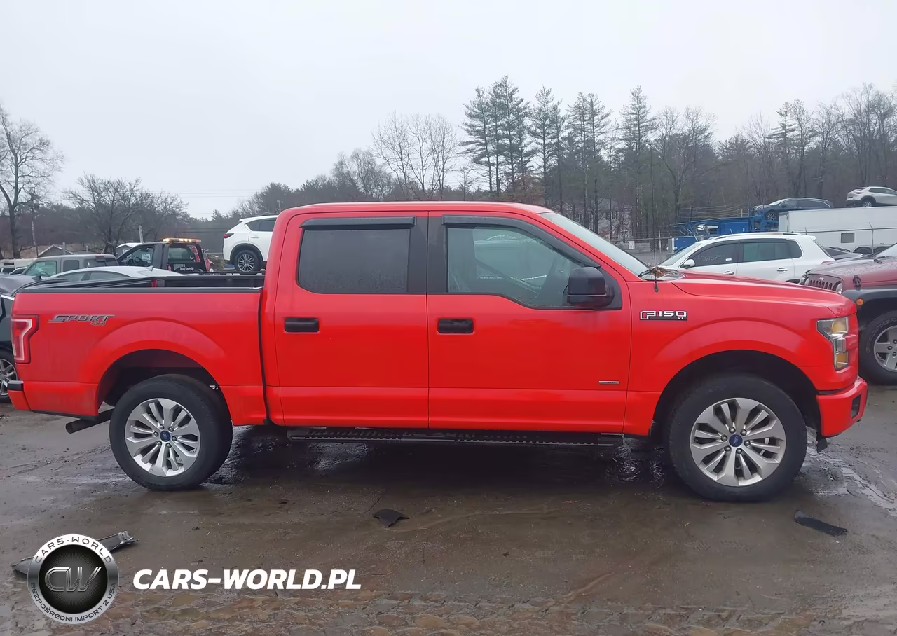 2016 Ford F-150 Xl VIN:1FTEW1EP9GFC24407 - 13
