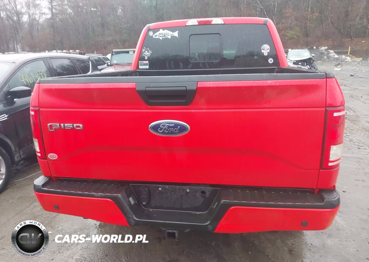 2016 Ford F-150 Xl VIN:1FTEW1EP9GFC24407 - 16