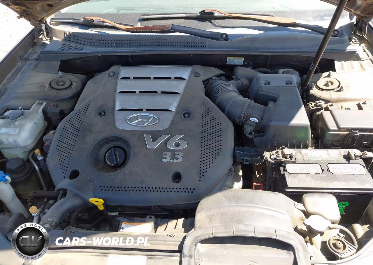 2007 Hyundai Sonata Limited-Se V6 VIN:5NPEU46F17H182155 - 10
