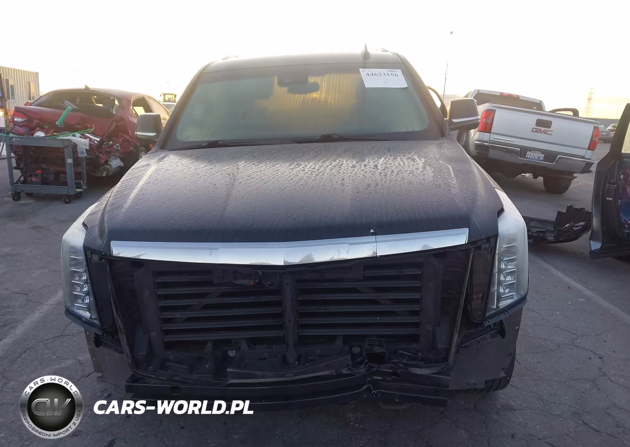 2020 Cadillac Escalade Esv 2Wd Luxury VIN:1GYS3HKJ3LR217430 - 13
