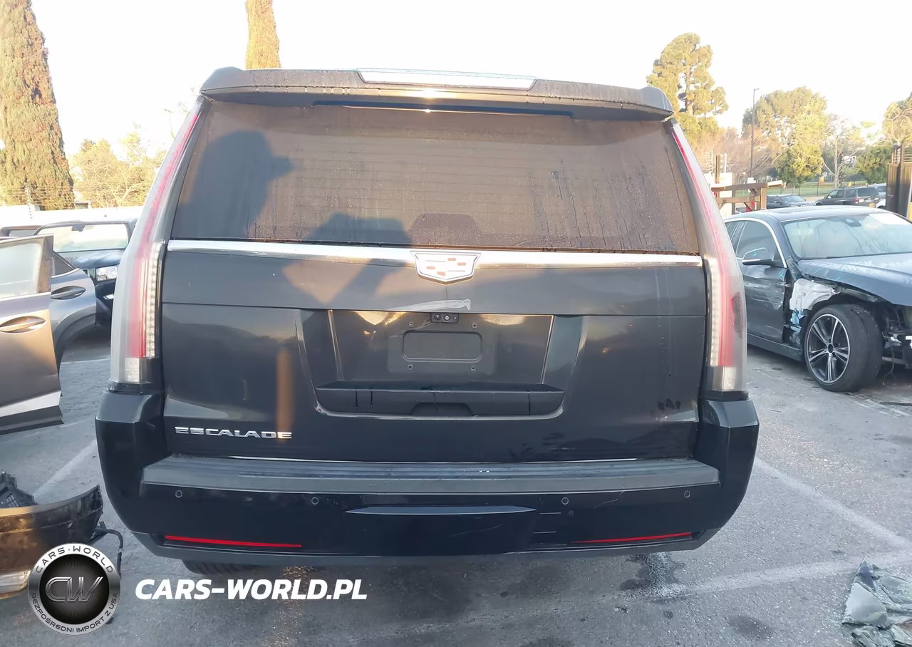 2020 Cadillac Escalade Esv 2Wd Luxury VIN:1GYS3HKJ3LR217430 - 17