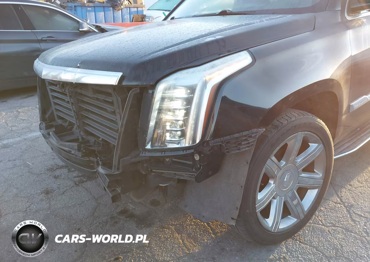 2020 Cadillac Escalade Esv 2Wd Luxury VIN:1GYS3HKJ3LR217430 - 18