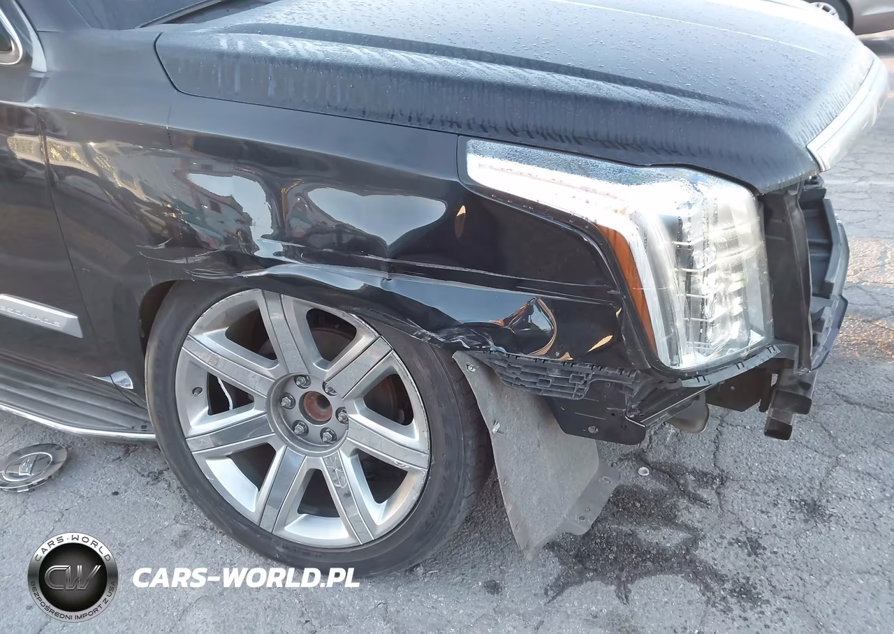 2020 Cadillac Escalade Esv 2Wd Luxury VIN:1GYS3HKJ3LR217430 - 19