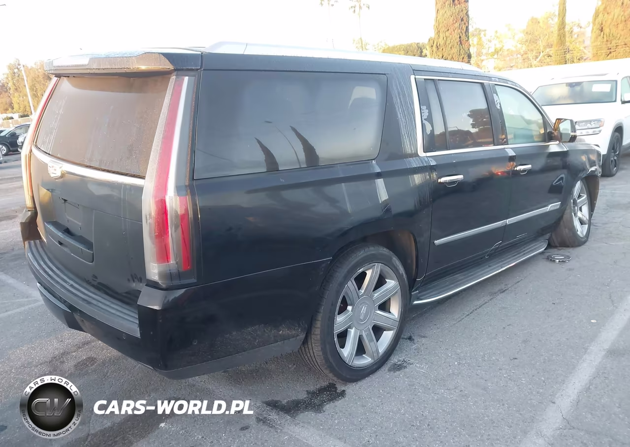2020 Cadillac Escalade Esv 2Wd Luxury VIN:1GYS3HKJ3LR217430 - 4