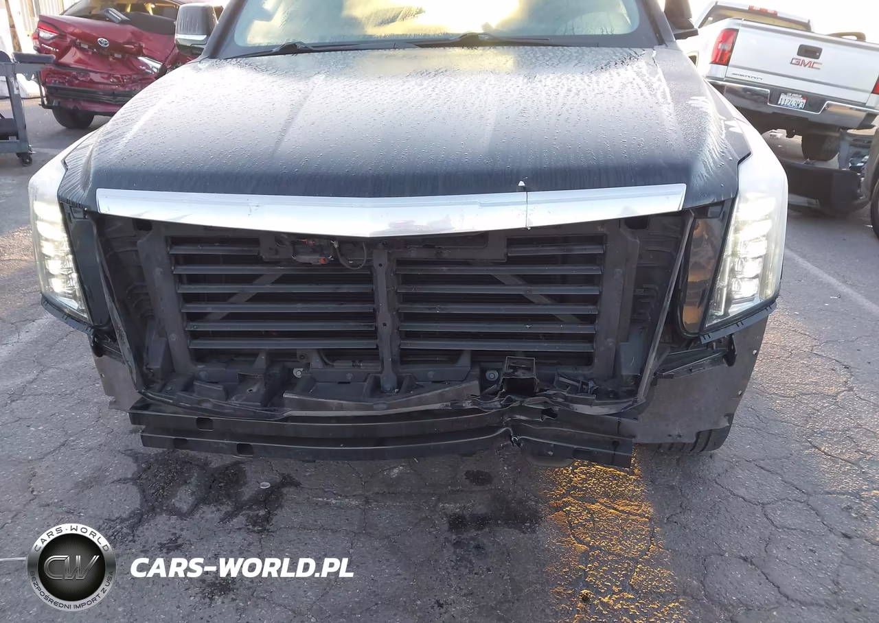 2020 Cadillac Escalade Esv 2Wd Luxury VIN:1GYS3HKJ3LR217430 - 6