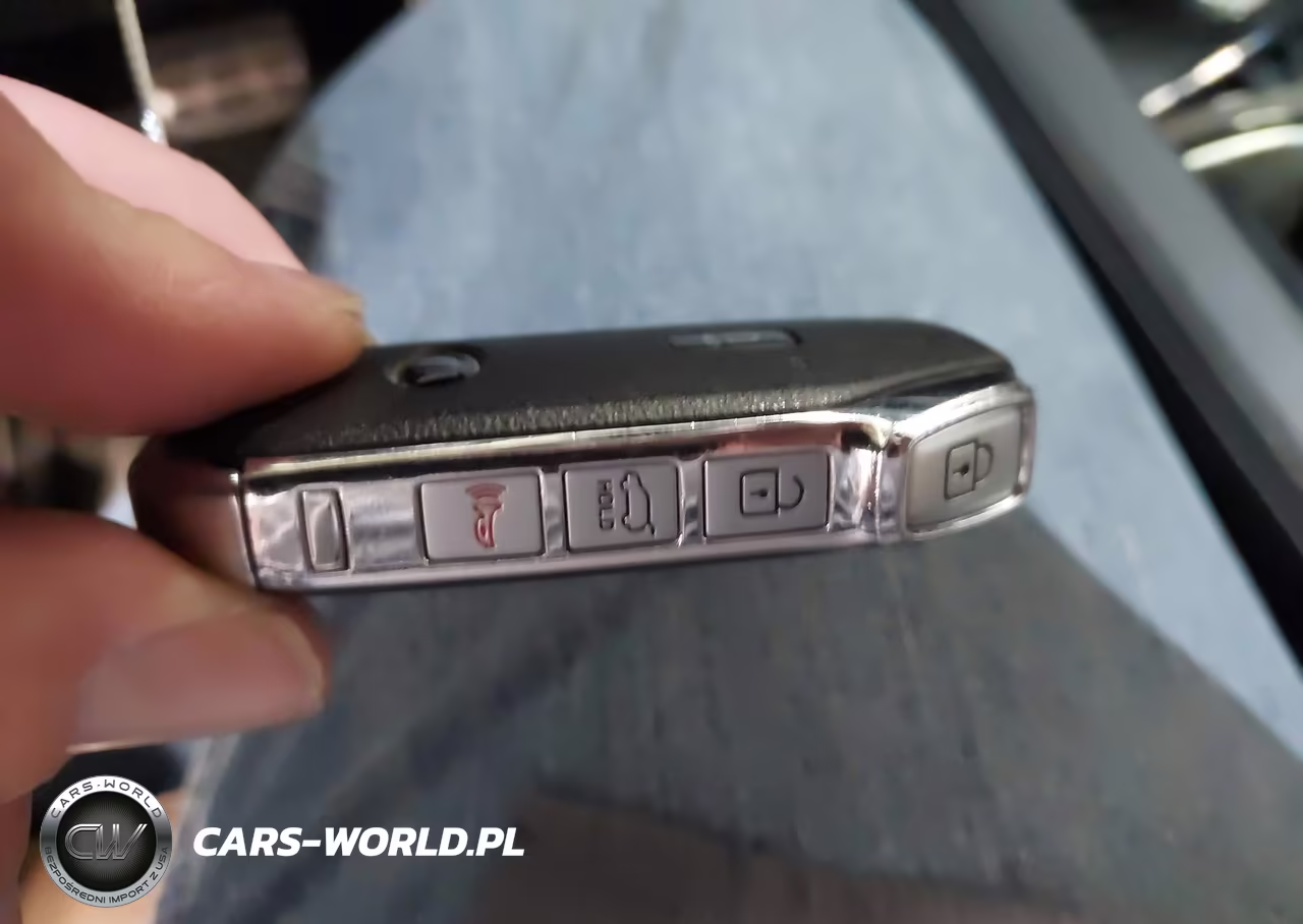2021 Kia Telluride Sx VIN:5XYP5DHC3MG123605 - 11