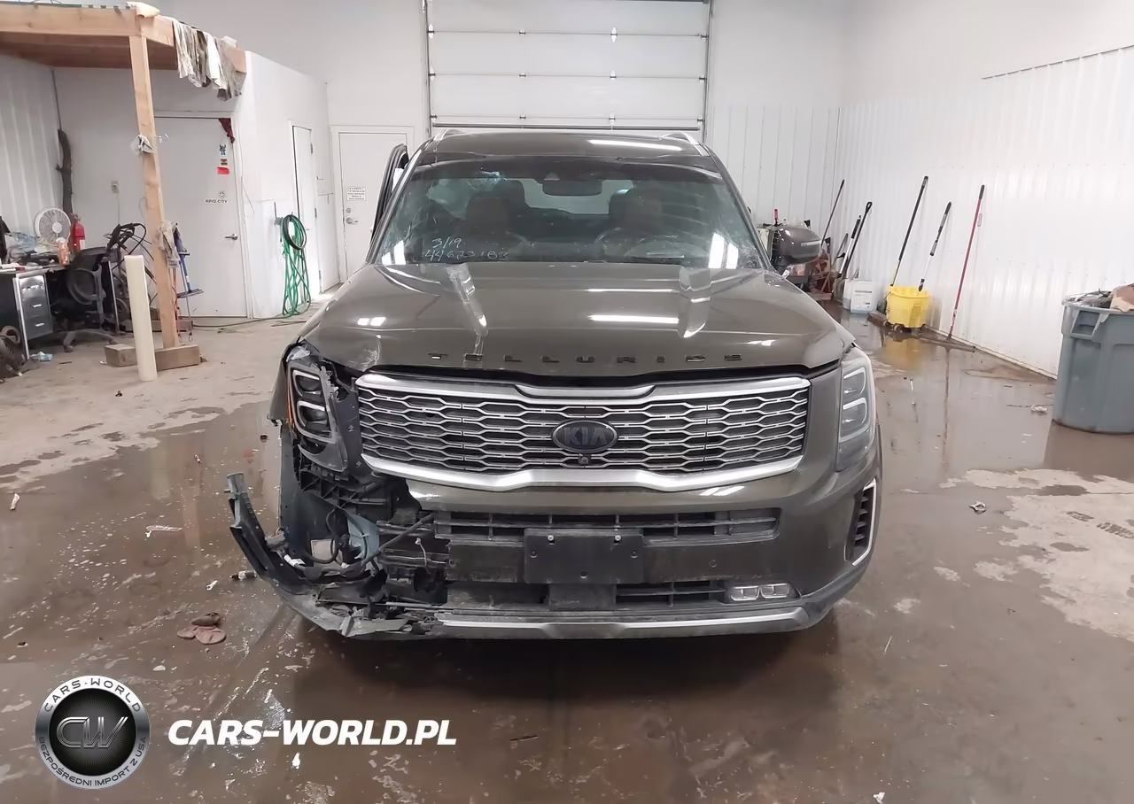 2021 Kia Telluride Sx VIN:5XYP5DHC3MG123605 - 12