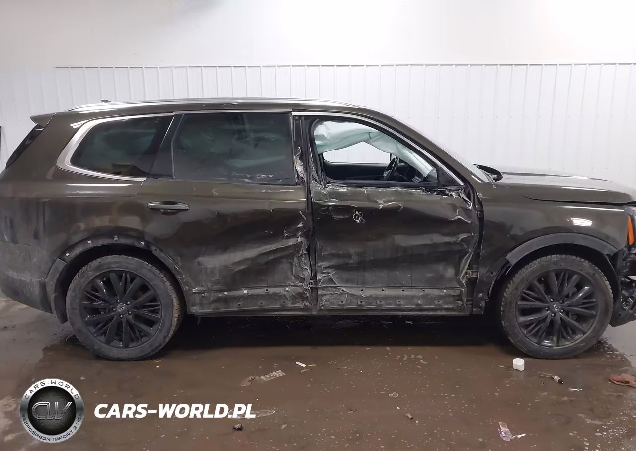 2021 Kia Telluride Sx VIN:5XYP5DHC3MG123605 - 13