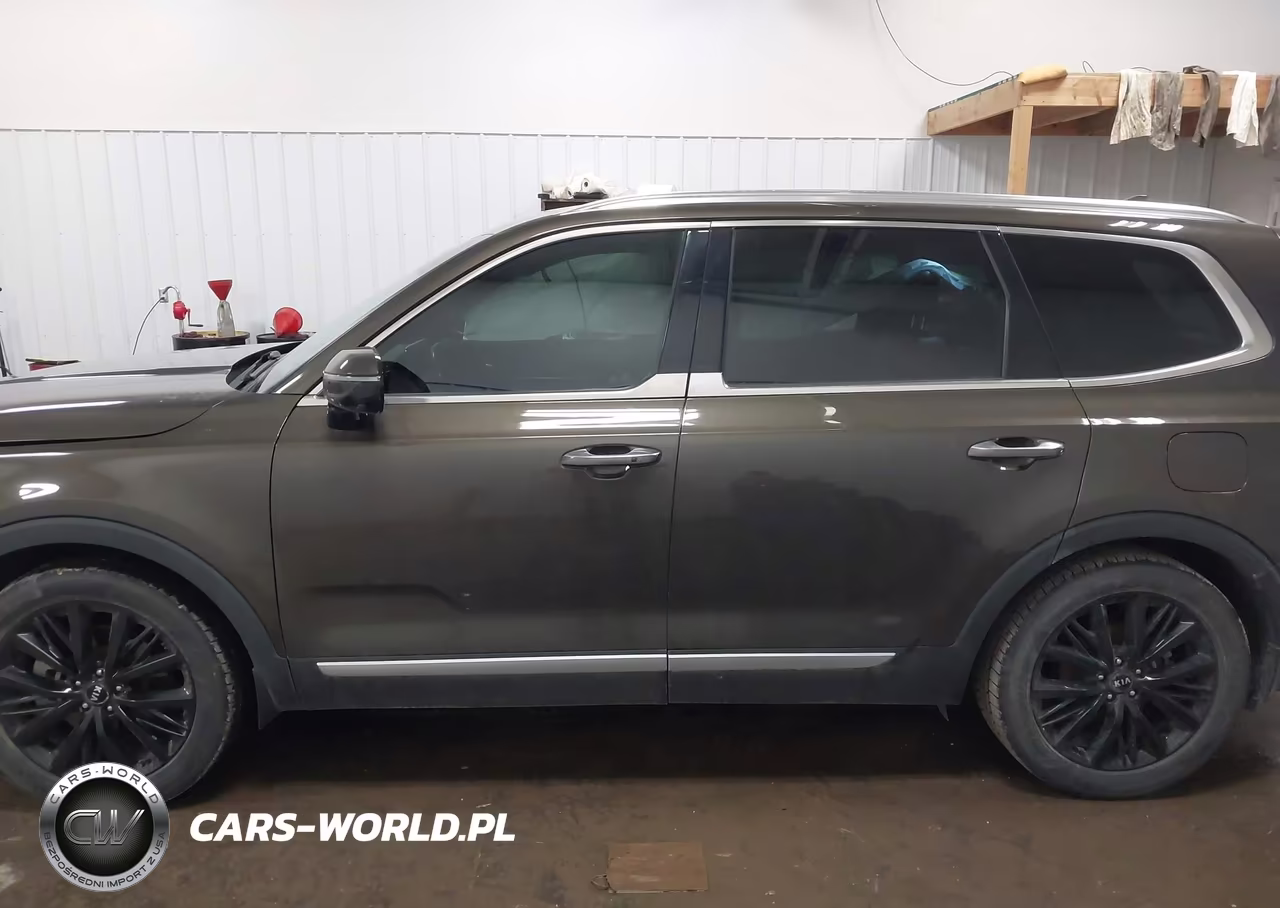 2021 Kia Telluride Sx VIN:5XYP5DHC3MG123605 - 14