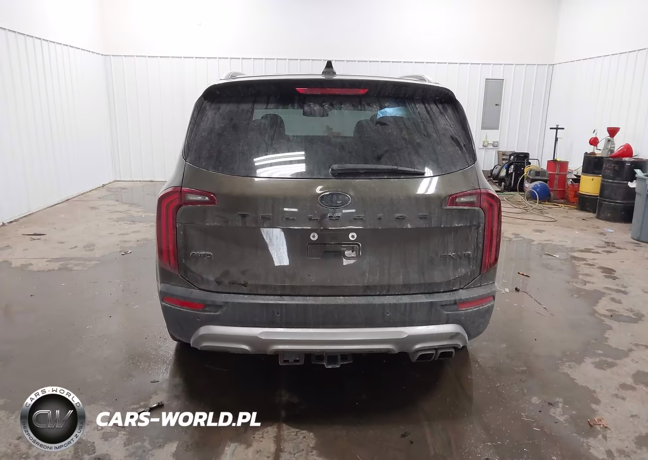 2021 Kia Telluride Sx VIN:5XYP5DHC3MG123605 - 16