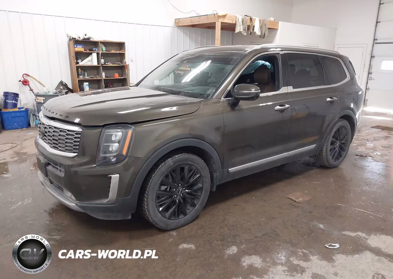 2021 Kia Telluride Sx VIN:5XYP5DHC3MG123605 - 2