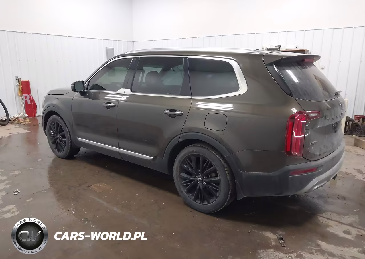 2021 Kia Telluride Sx VIN:5XYP5DHC3MG123605 - 3