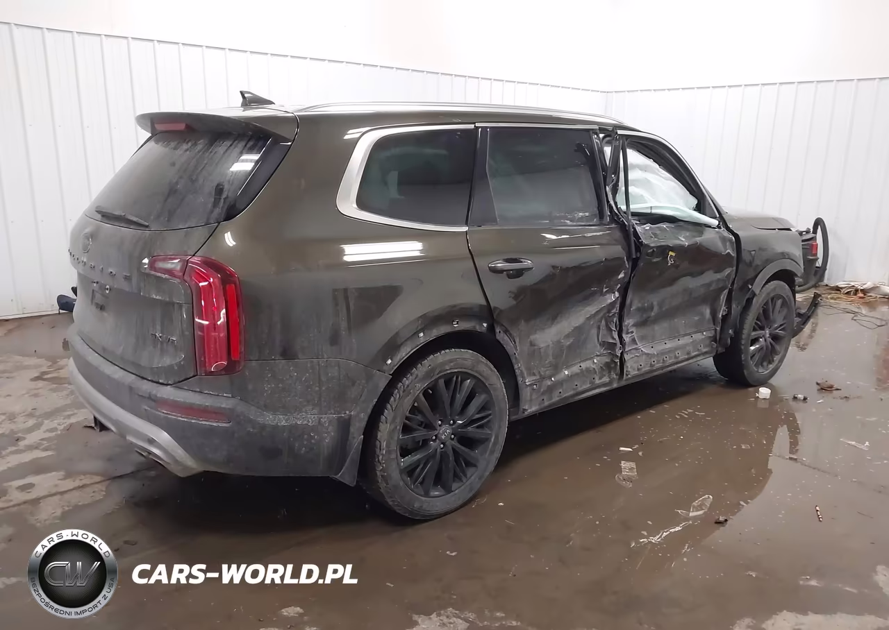 2021 Kia Telluride Sx VIN:5XYP5DHC3MG123605 - 4