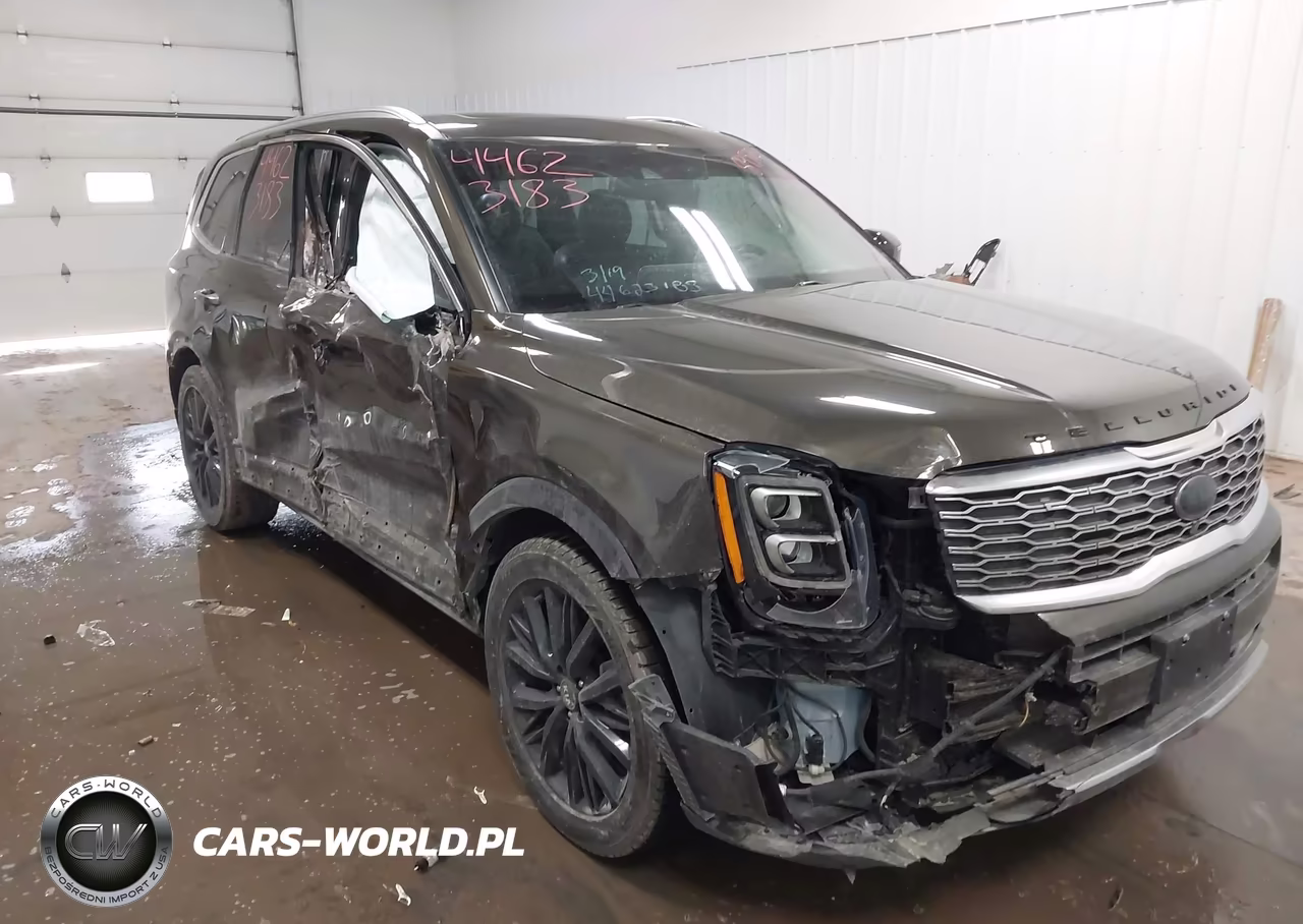 2021 Kia Telluride Sx VIN:5XYP5DHC3MG123605 - 6