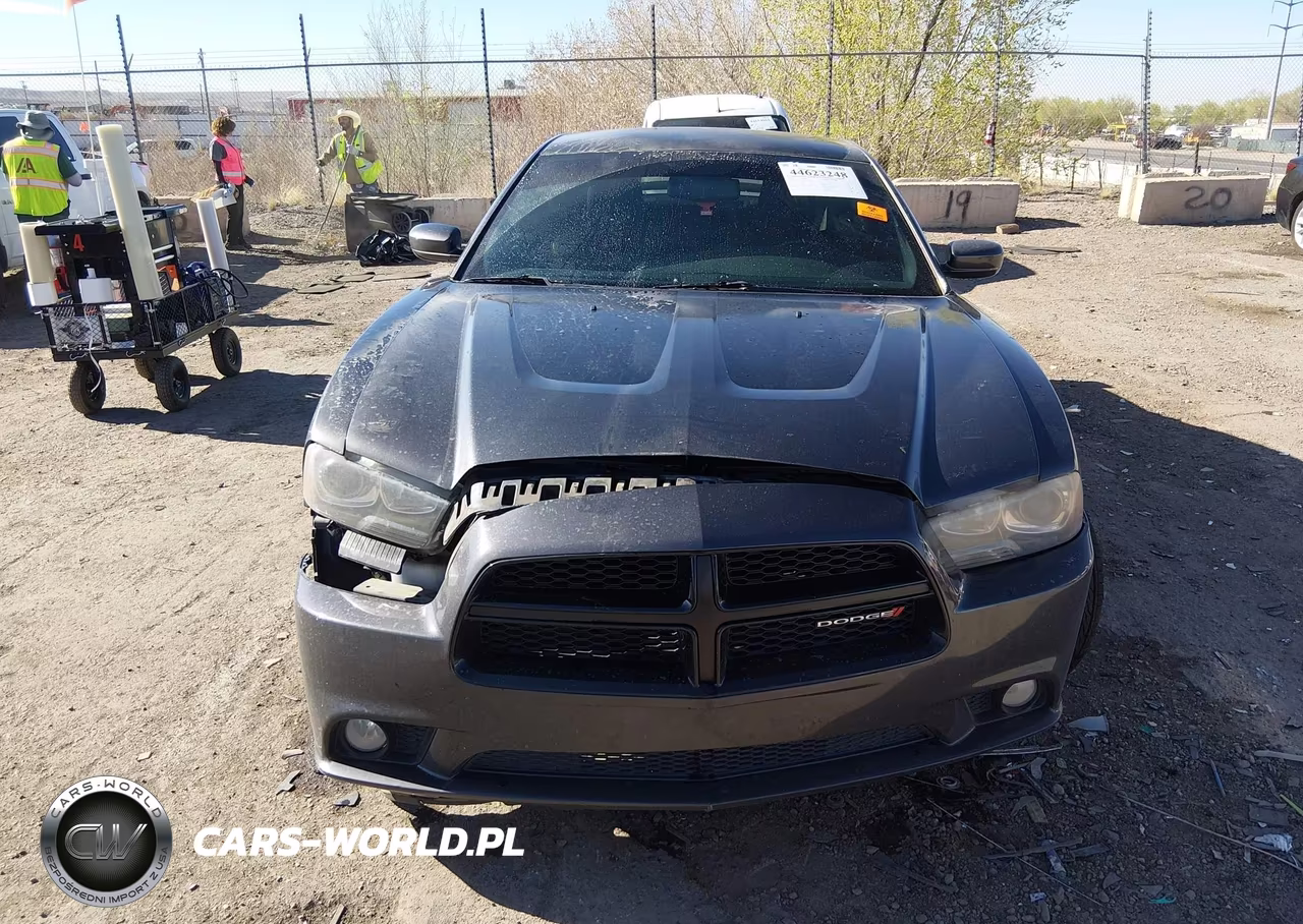 2014 Dodge Charger R-T VIN:2C3CDXCT4EH349766 - 12