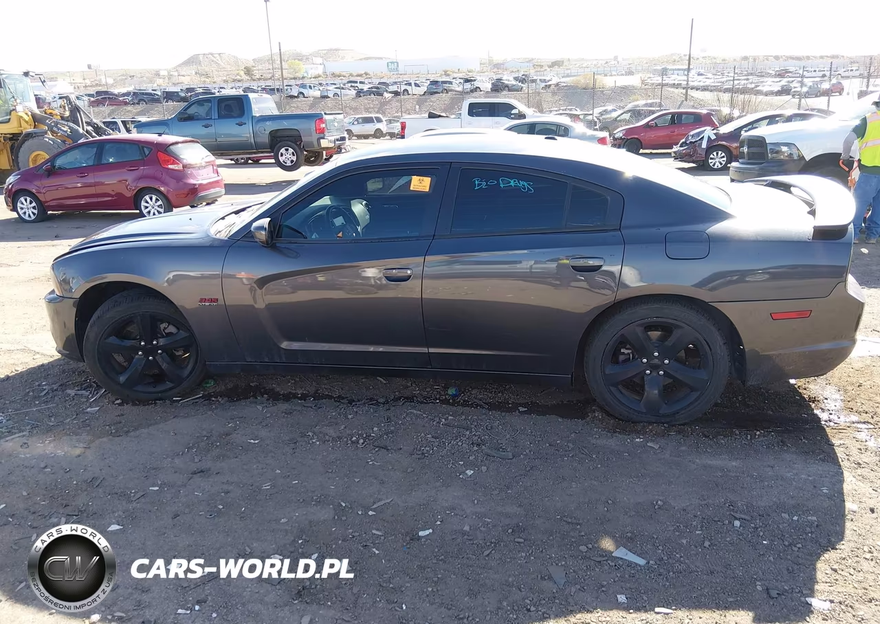 2014 Dodge Charger R-T VIN:2C3CDXCT4EH349766 - 14