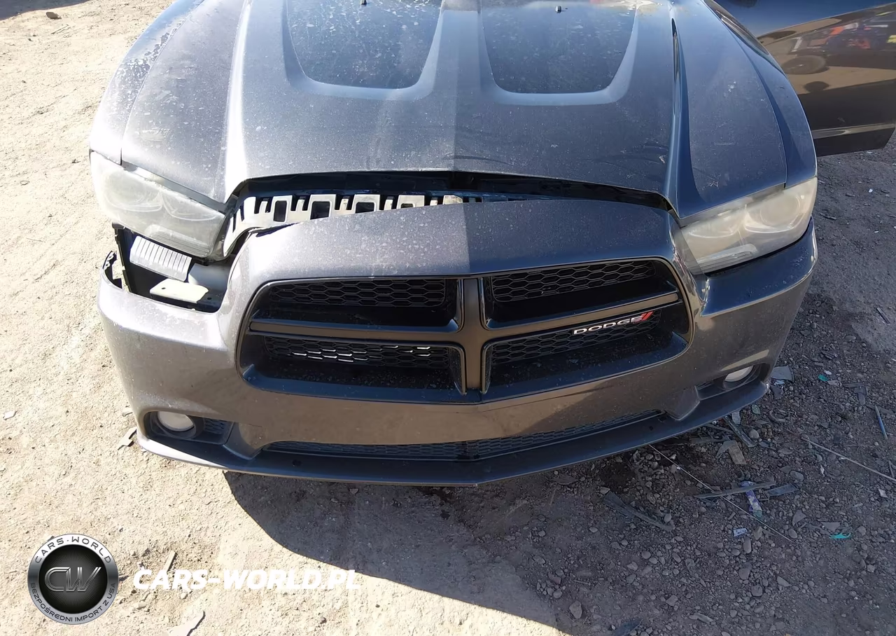 2014 Dodge Charger R-T VIN:2C3CDXCT4EH349766 - 6