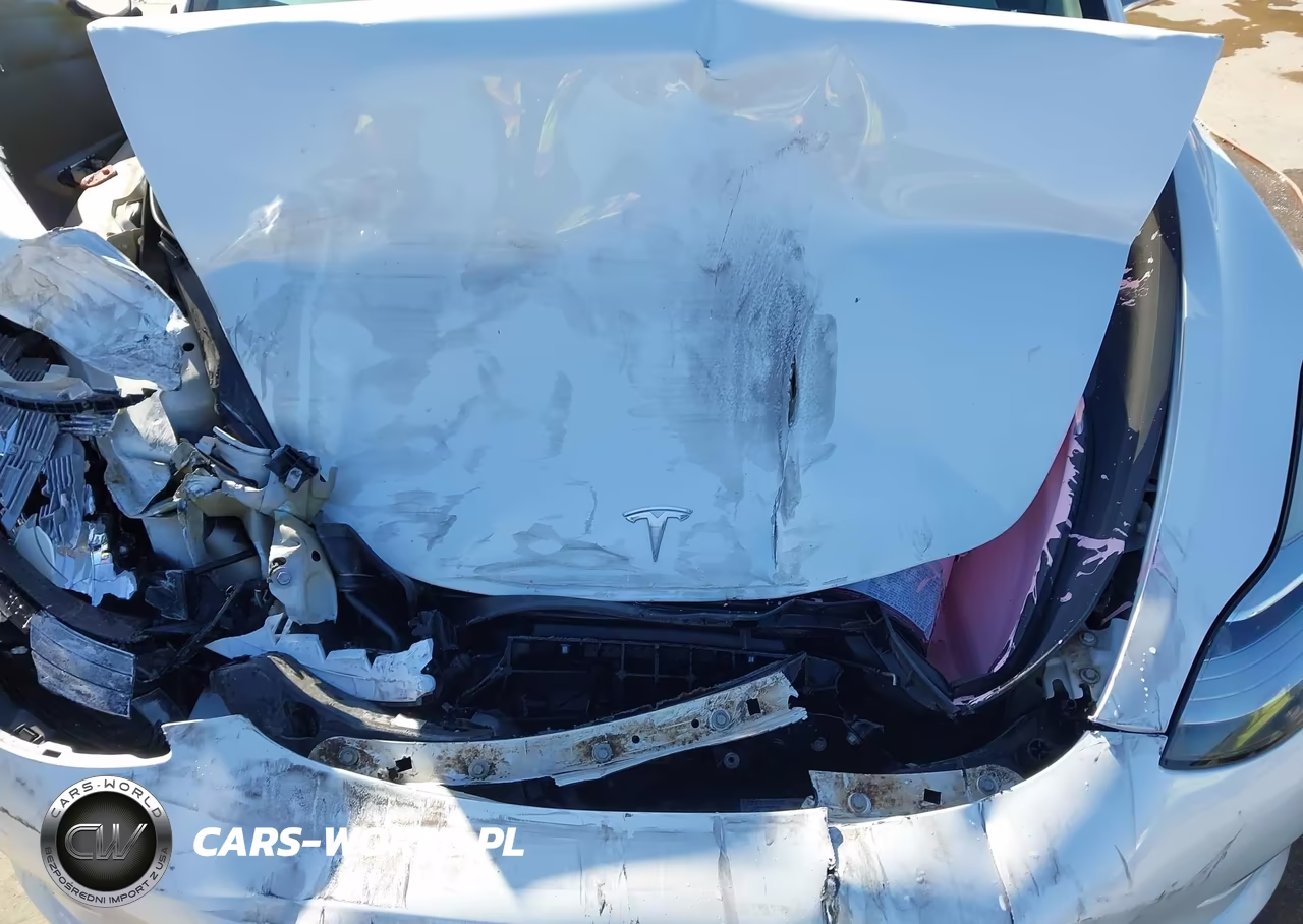 2020 Tesla Model 3 Standard Range Plus Rear-Wheel Drive-Standard Range Rear-Wheel Drive VIN:5YJ3E1EAXLF710079 - 10