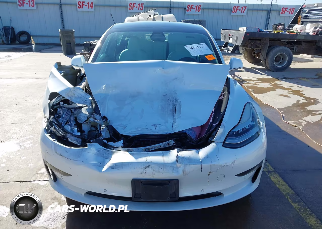 2020 Tesla Model 3 Standard Range Plus Rear-Wheel Drive-Standard Range Rear-Wheel Drive VIN:5YJ3E1EAXLF710079 - 11