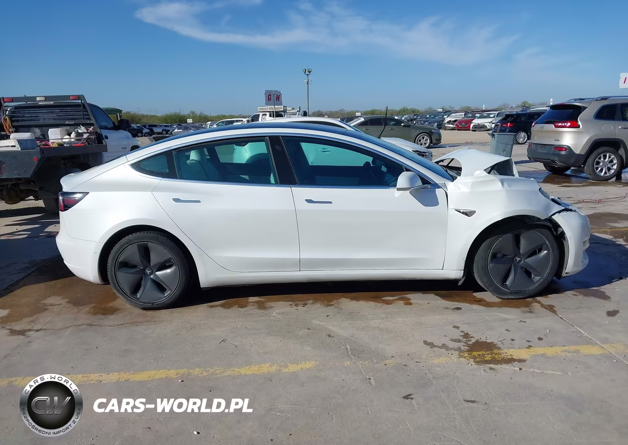 2020 Tesla Model 3 Standard Range Plus Rear-Wheel Drive-Standard Range Rear-Wheel Drive VIN:5YJ3E1EAXLF710079 - 12