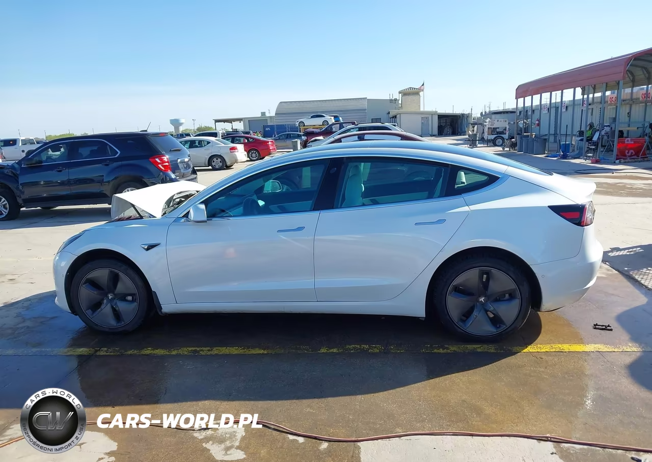 2020 Tesla Model 3 Standard Range Plus Rear-Wheel Drive-Standard Range Rear-Wheel Drive VIN:5YJ3E1EAXLF710079 - 13