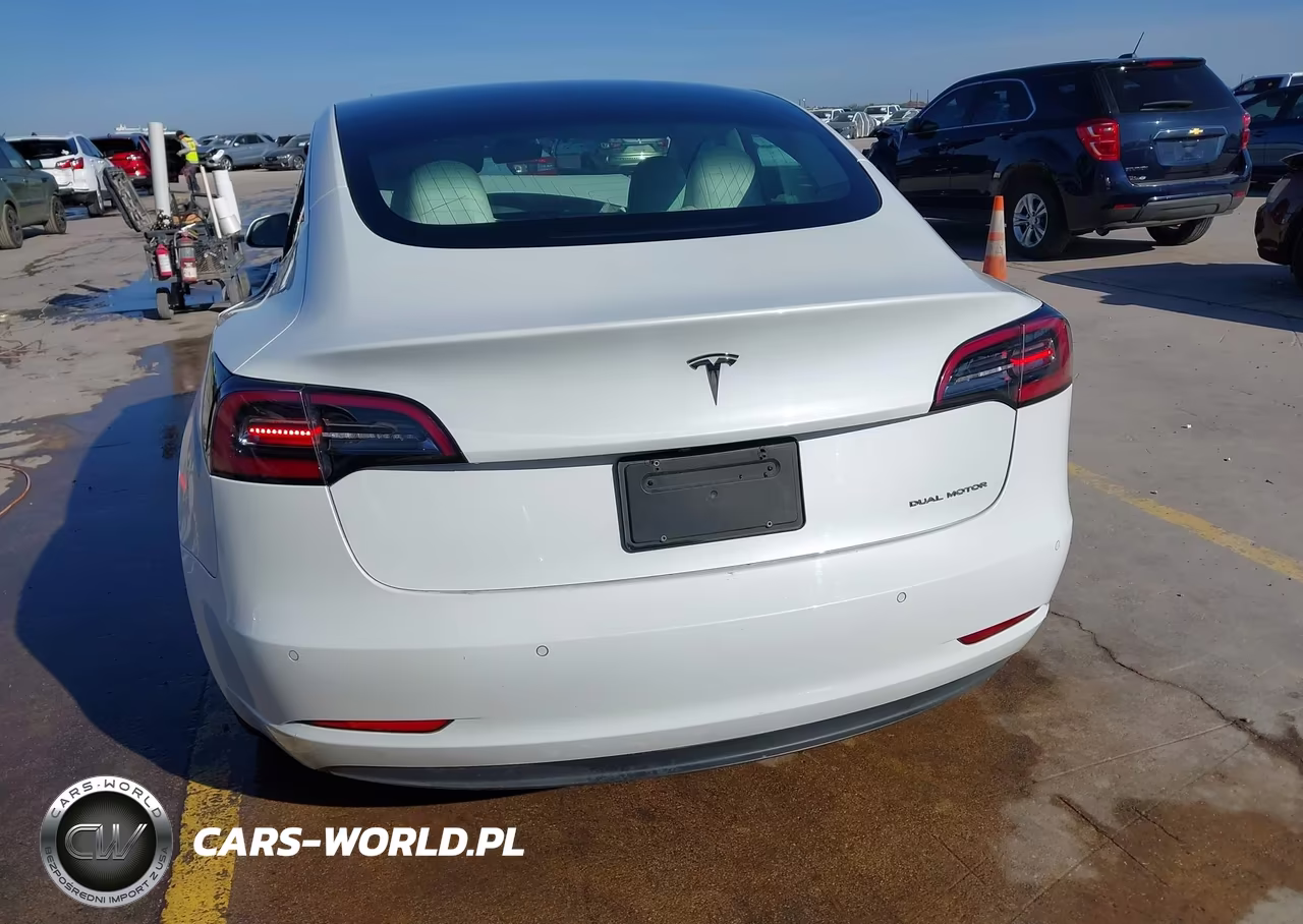 2020 Tesla Model 3 Standard Range Plus Rear-Wheel Drive-Standard Range Rear-Wheel Drive VIN:5YJ3E1EAXLF710079 - 15