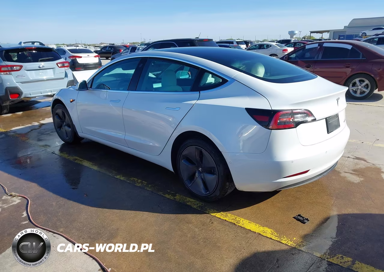 2020 Tesla Model 3 Standard Range Plus Rear-Wheel Drive-Standard Range Rear-Wheel Drive VIN:5YJ3E1EAXLF710079 - 3