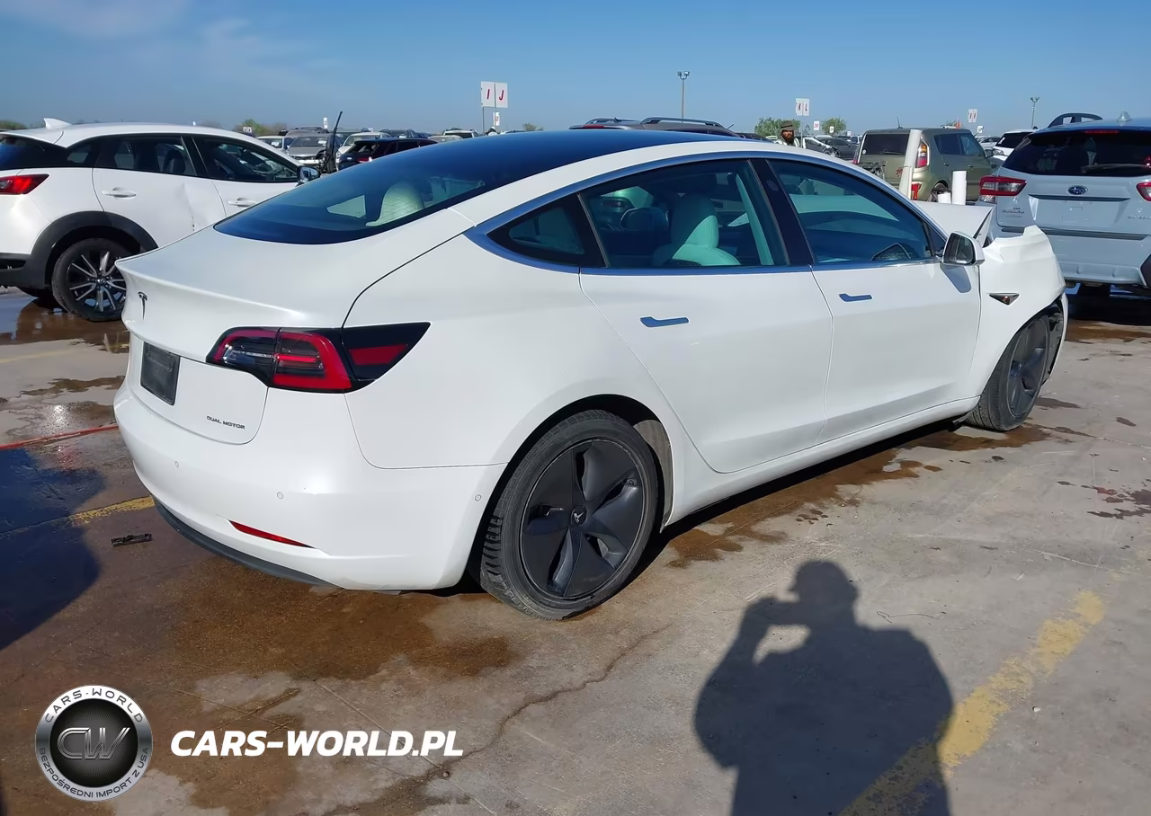 2020 Tesla Model 3 Standard Range Plus Rear-Wheel Drive-Standard Range Rear-Wheel Drive VIN:5YJ3E1EAXLF710079 - 4