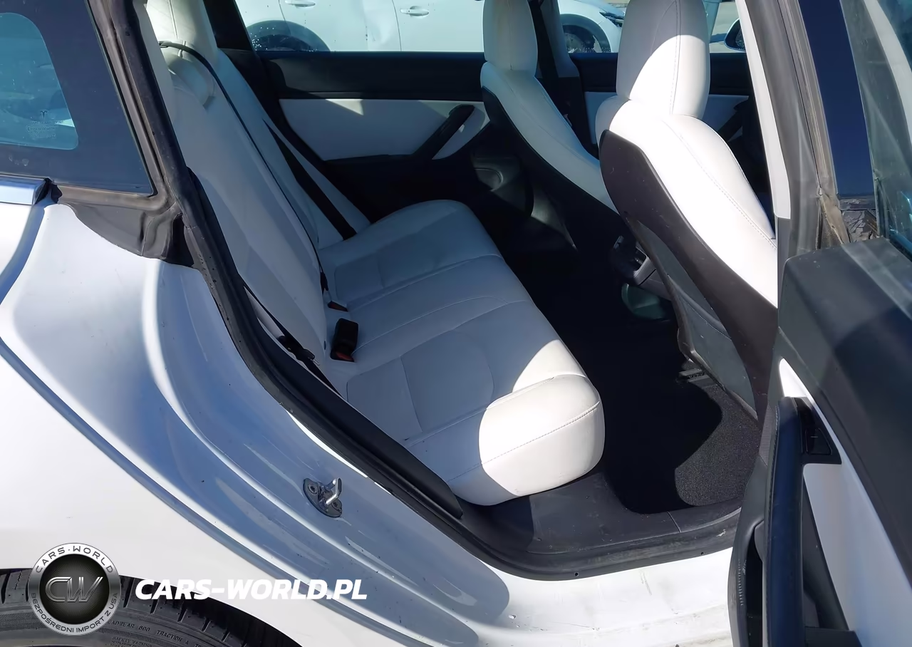 2020 Tesla Model 3 Standard Range Plus Rear-Wheel Drive-Standard Range Rear-Wheel Drive VIN:5YJ3E1EAXLF710079 - 8