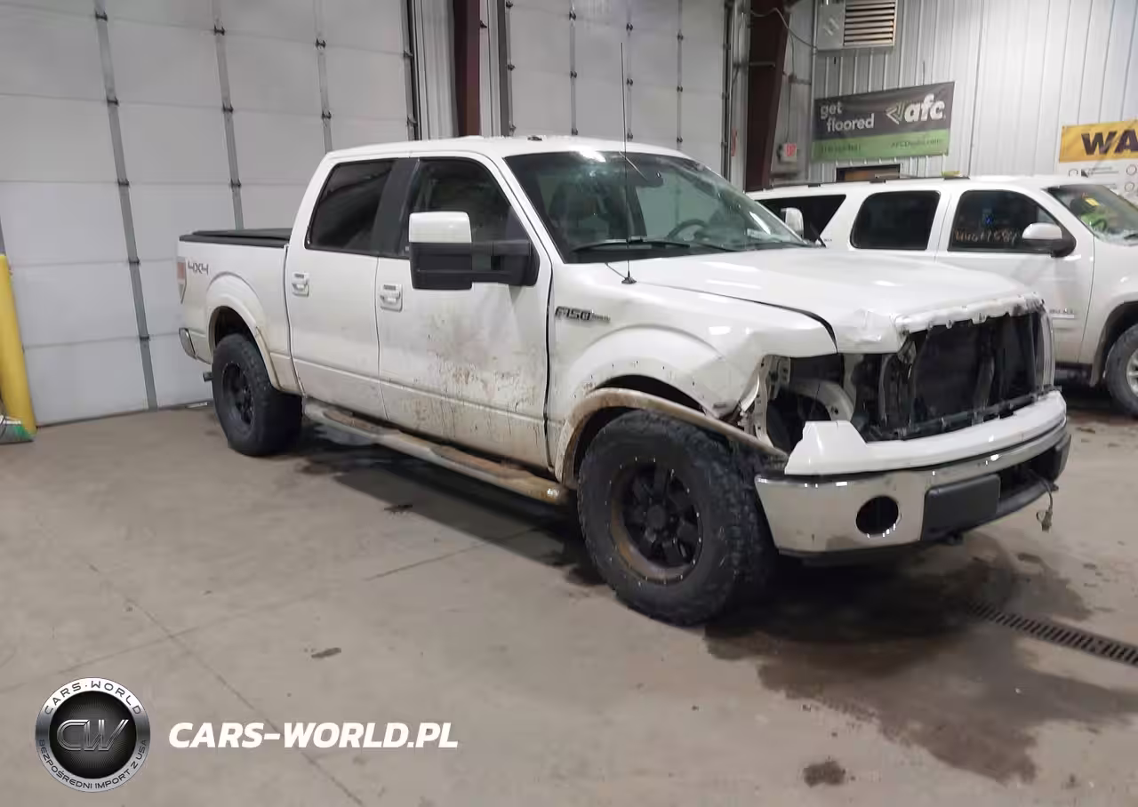 2010 Ford F-150 Fx4-Harley-Davidson-King Ranch-Lariat-Platinum-Xl-Xlt