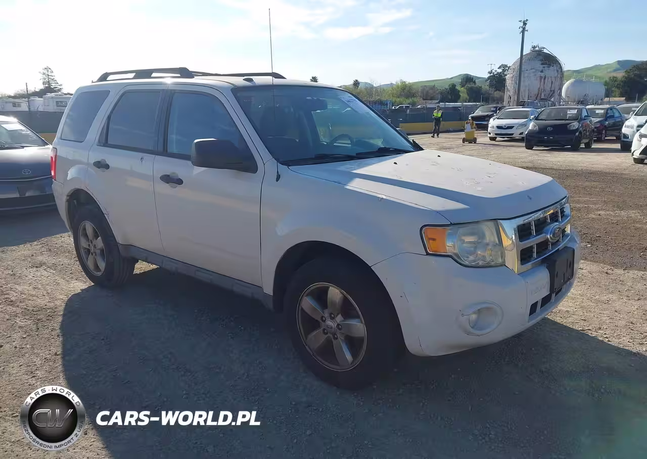 2010 Ford Escape Xlt