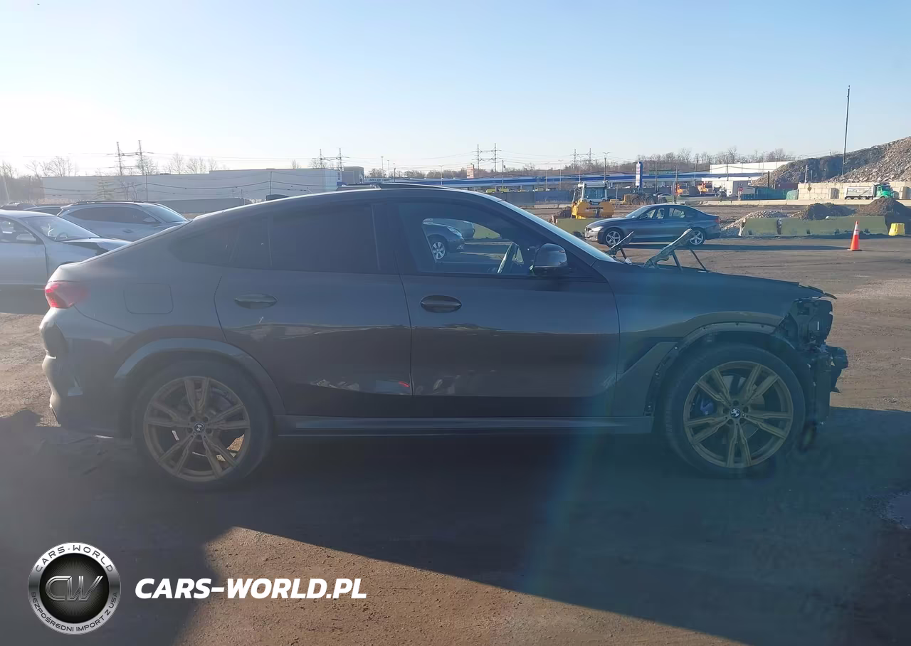 2023 BMW X6 M50I VIN:5UXCY8C03P9R79663 - 13