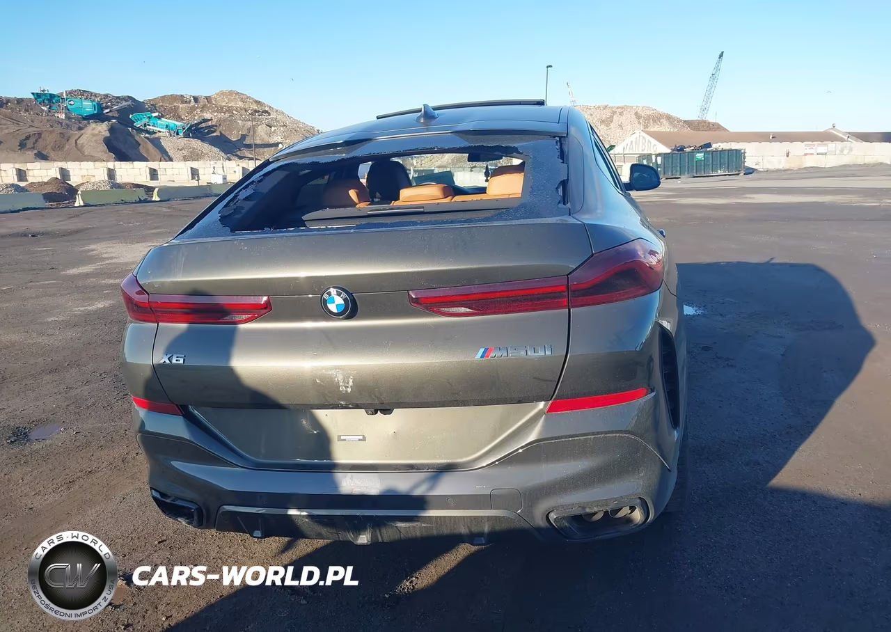 2023 BMW X6 M50I VIN:5UXCY8C03P9R79663 - 16