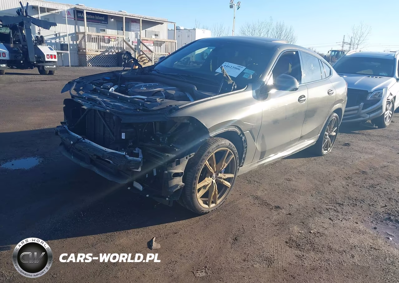 2023 BMW X6 M50I VIN:5UXCY8C03P9R79663 - 2