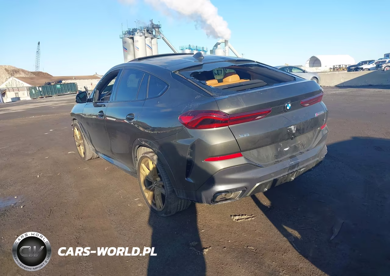2023 BMW X6 M50I VIN:5UXCY8C03P9R79663 - 3