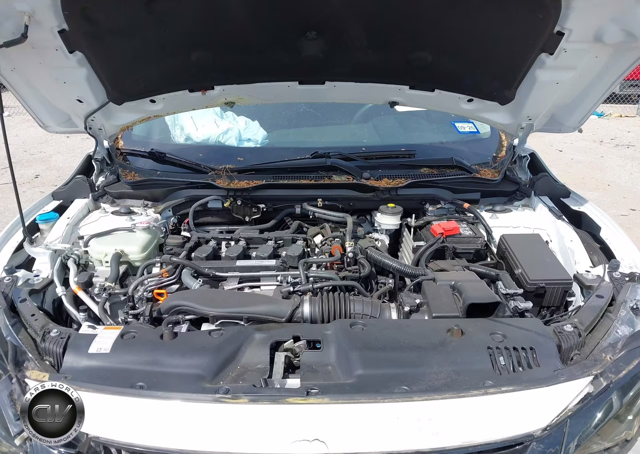 2020 Honda Civic Ex VIN:19XFC1F31LE019368 - 10