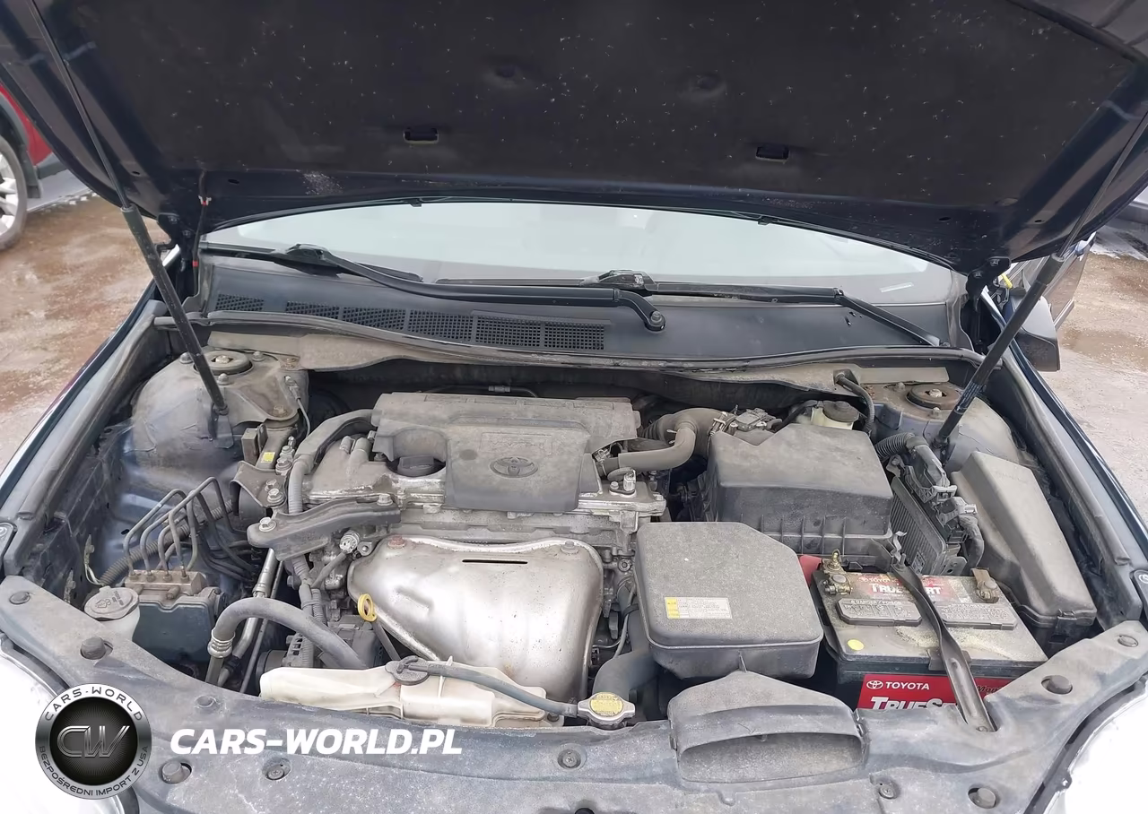 2016 Toyota Camry Le VIN:4T4BF1FK8GR520344 - 10