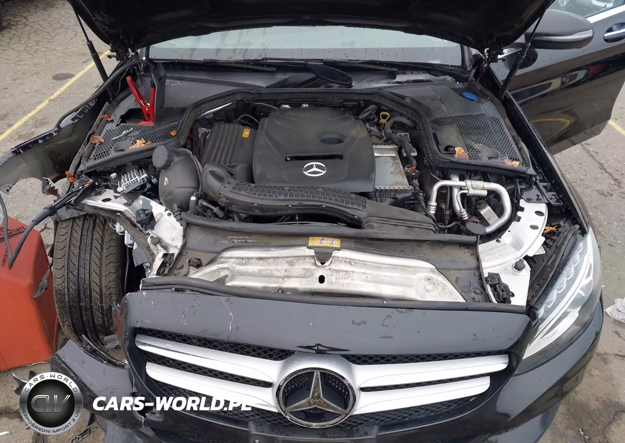 2018 Mercedes-Benz C 300 VIN:WDDWF4JB9JR420522 - 10