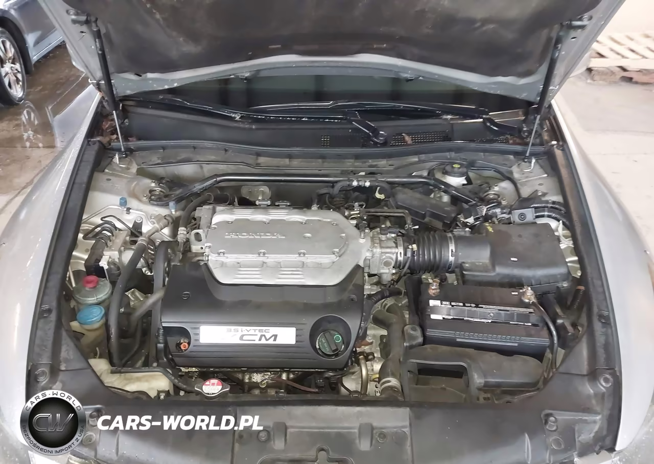 2010 Honda Accord 3.5 Ex-L VIN:1HGCP3F82AA005849 - 10