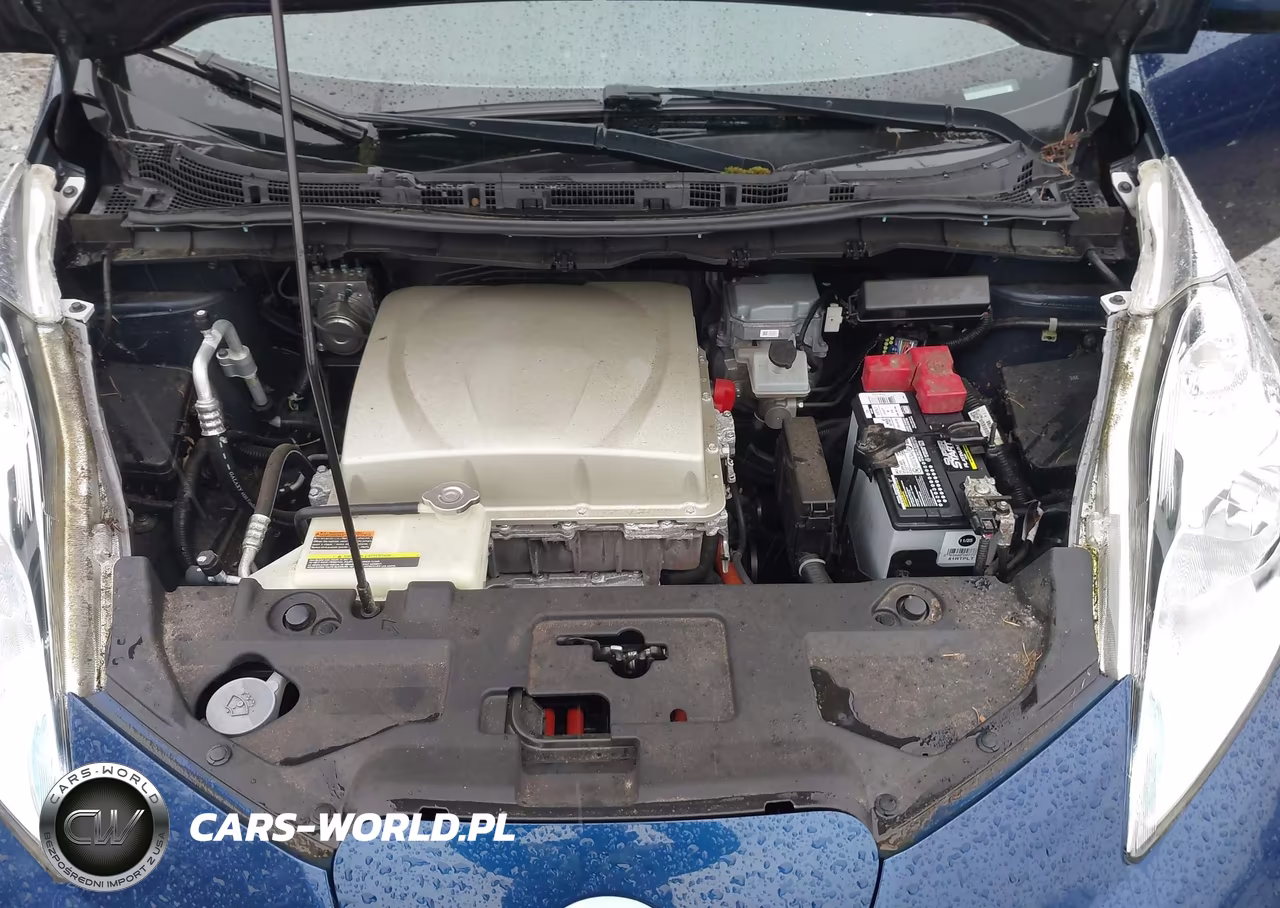 2016 Nissan Leaf S VIN:1N4BZ0CP4GC314191 - 10