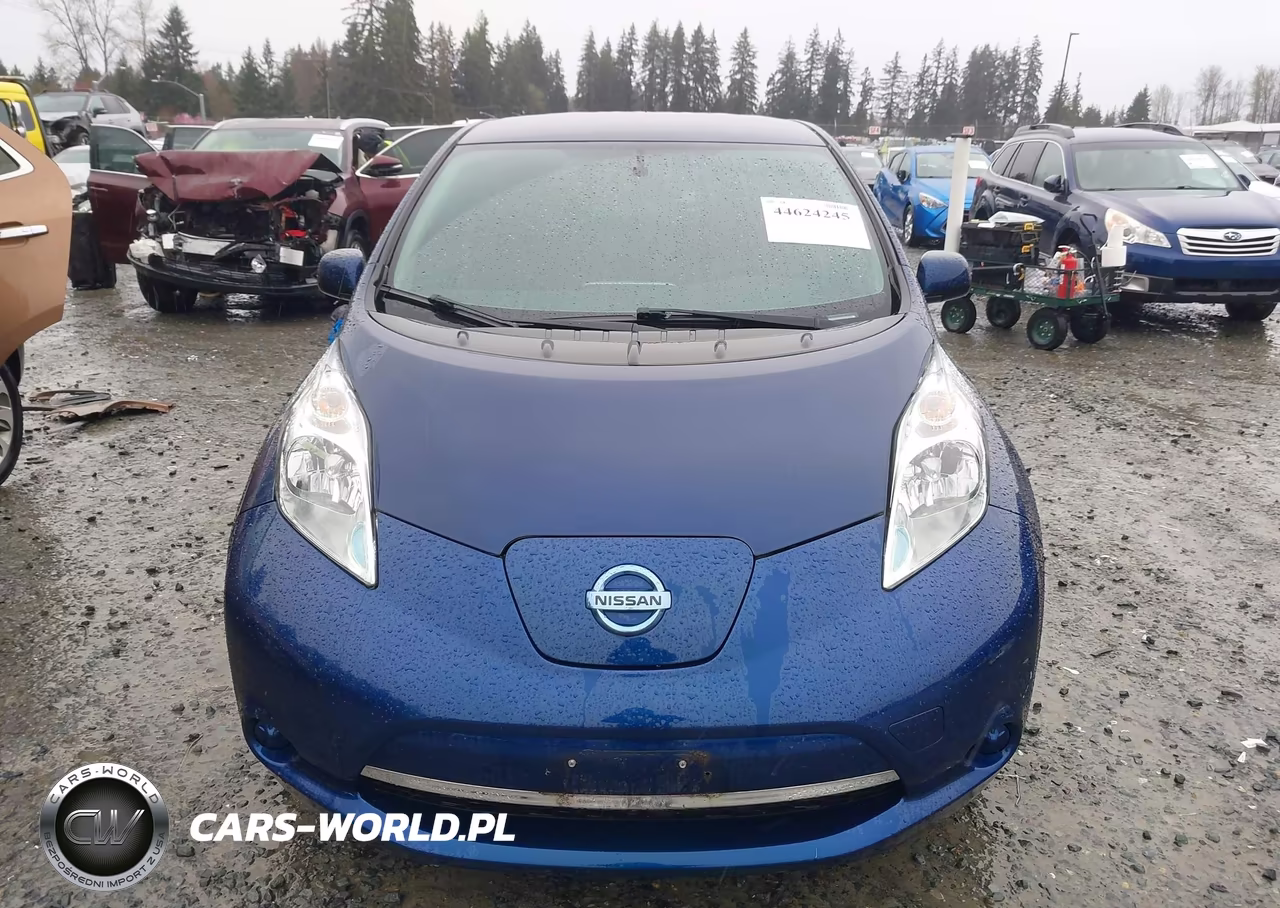2016 Nissan Leaf S VIN:1N4BZ0CP4GC314191 - 12