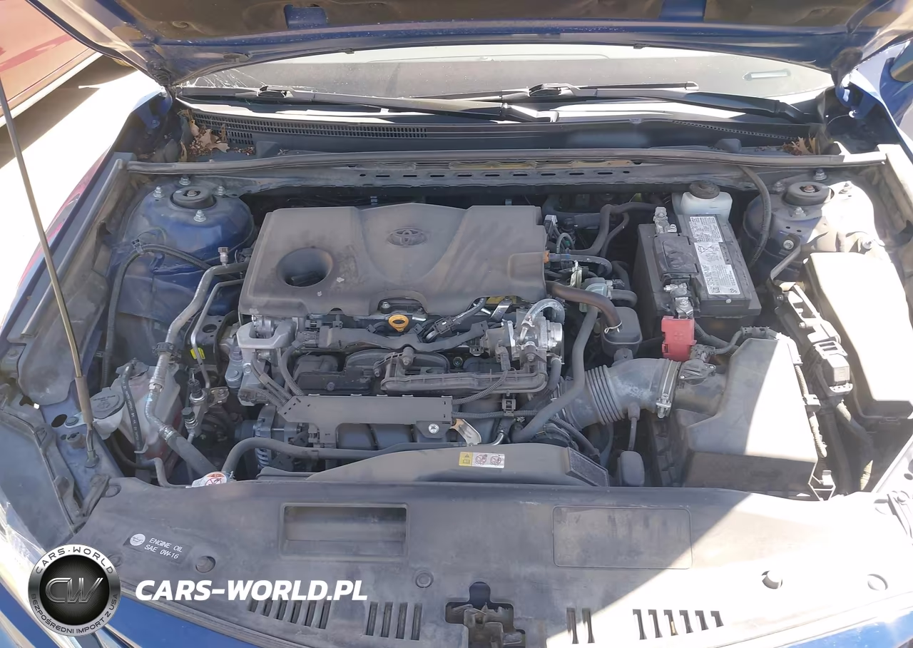 2023 Toyota Camry Le VIN:4T1R11AK2PU095296 - 10