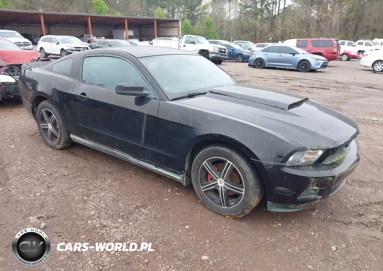 2010 Ford Mustang V6