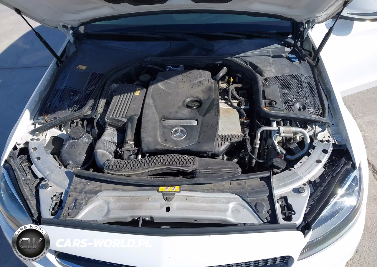 2016 Mercedes-Benz C 300 VIN:55SWF4JB7GU130304 - 10