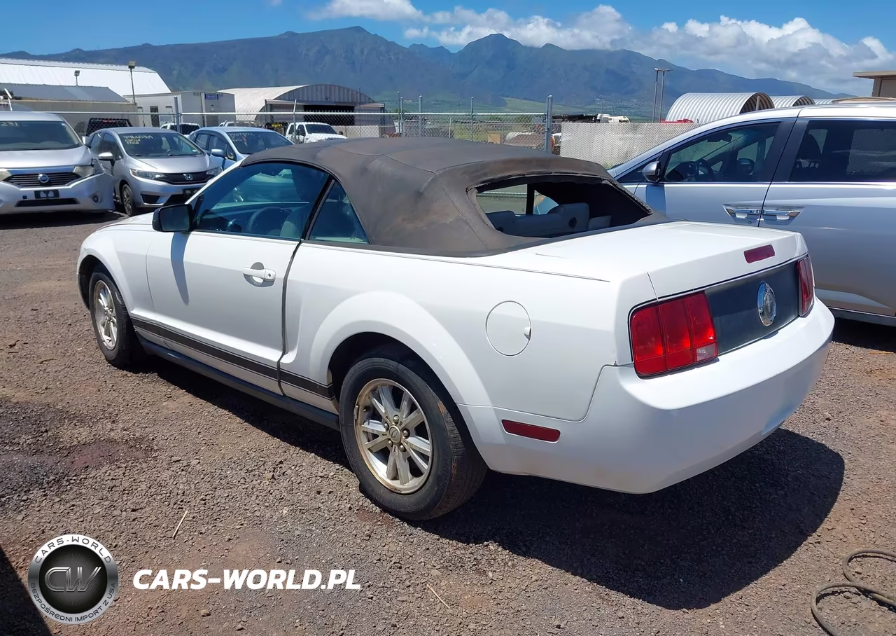 2007 Ford Mustang V6 Deluxe-V6 Premium VIN:1ZVFT84NX75309121 - 3