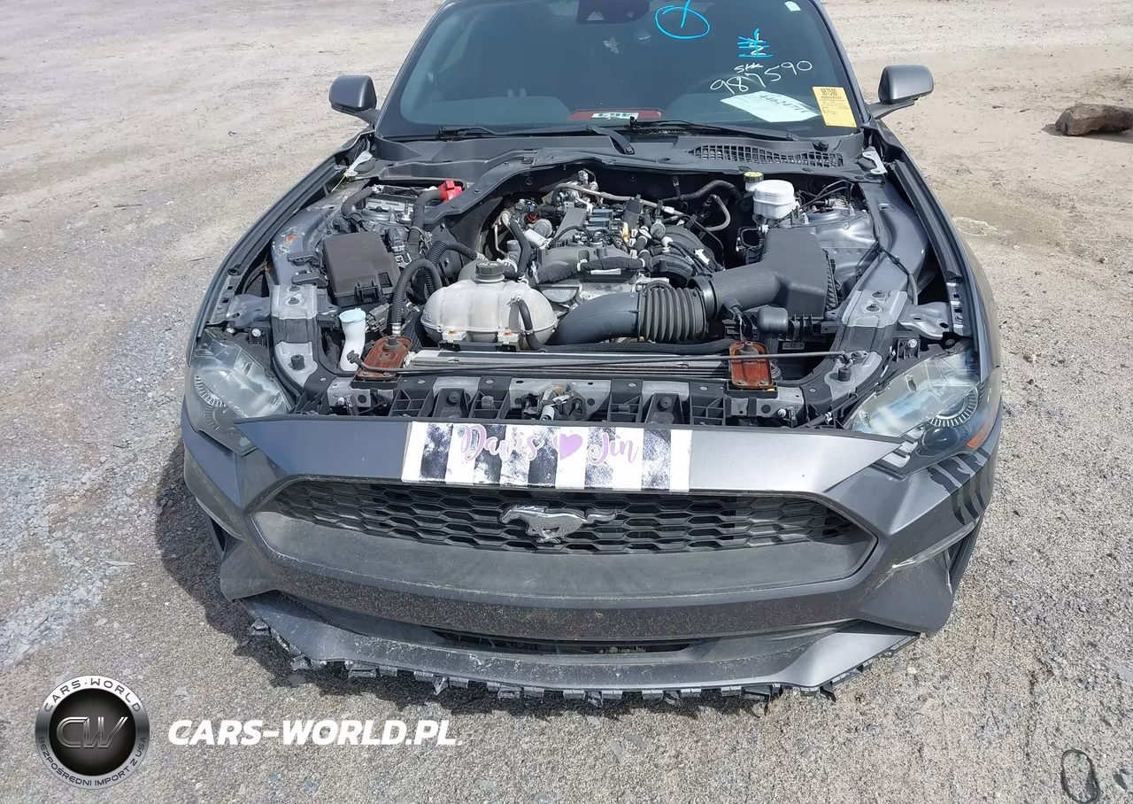 2021 Ford Mustang Ecoboost Fastback VIN:1FA6P8TH8M5151446 - 12