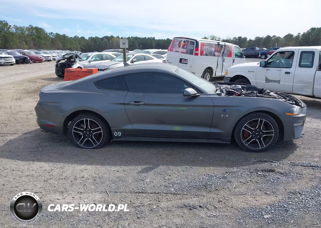 2021 Ford Mustang Ecoboost Fastback VIN:1FA6P8TH8M5151446 - 13