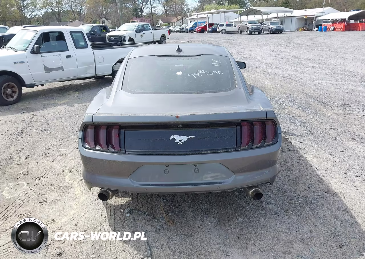 2021 Ford Mustang Ecoboost Fastback VIN:1FA6P8TH8M5151446 - 16