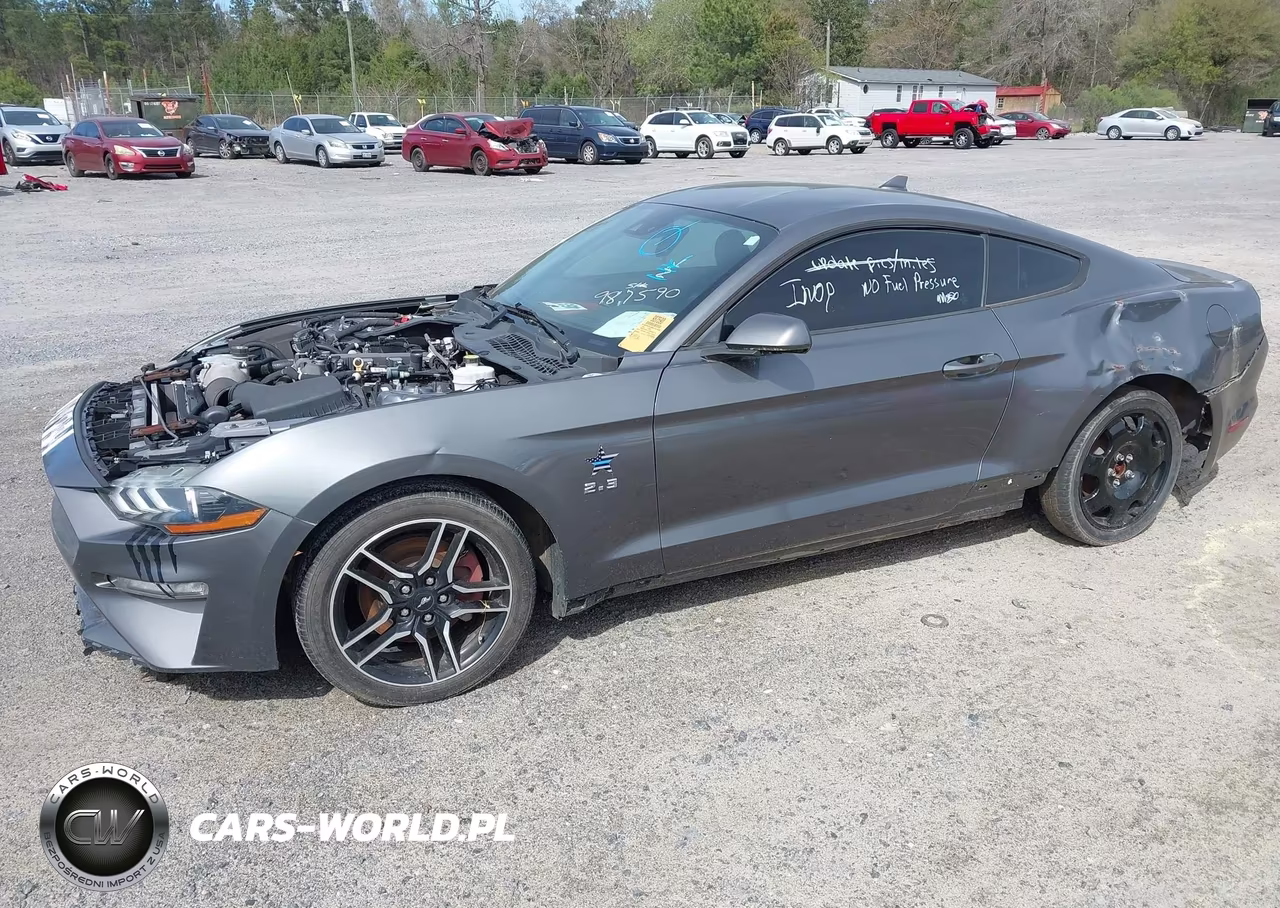 2021 Ford Mustang Ecoboost Fastback VIN:1FA6P8TH8M5151446 - 2
