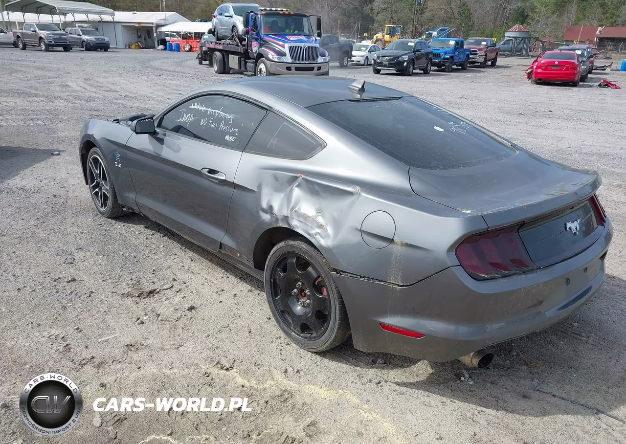 2021 Ford Mustang Ecoboost Fastback VIN:1FA6P8TH8M5151446 - 3